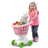 Step2 Little Helper’s Shopping Cart for Kids, Play Grocery Cart, Made of Durable Plastic, for Toddlers 2+ Years Old, Blue(Pink)