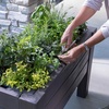 Step2 Lakewood Raised Planter Box, Large Planters for Outdoor Plants, Gardening and Flower Pot for Patio or Porch, Easy Drainage, Durable Plastic, Dark Cedar(Dark Cedar)